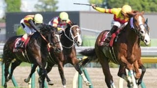 トウシンマカオが登録抹消…種牡馬入り