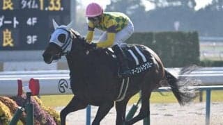 【白菊賞結果】マーゴットラヴミーが逃げ切り無傷の2連勝