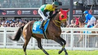 【ステイヤーズS登録馬】暮れの名物マラソンレースにワープスピードなど16頭
