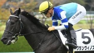 【鳴尾記念見どころ】グランヴィノスが重賞初奪取だ