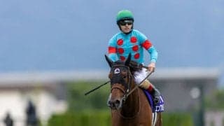 香港国際競走4レースで馬券発売…日本勢エンブロイダリーら8頭が出走予定