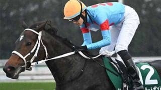 【チャンピオンズC】坂井瑠星騎手がレース史上初の3連覇へ みやこS覇者のダブルハートボンドで参戦