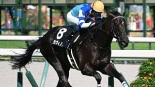 【鳴尾記念予想】厳寒期の休み明けは大きな割引が必要!? 前走のレースレベルにも疑問が残る人気馬とは