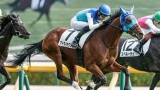 【朝日杯FS】アドマイヤクワッズ、リアライズシリウスらが登録