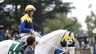 【阪神JF登録馬】白毛馬マルガなど26頭