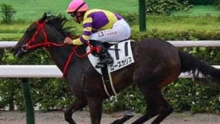 【阪神JF】デビュー3年目の田口貫太騎手 自厩舎のローズカリスでGI初制覇狙う
