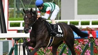 【阪神JF枠順確定】アランカールは2枠4番、マーゴットラヴミーは4枠7番