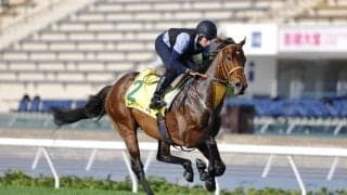 【香港国際競走】ベラジオオペラ、サトノレーヴらJRA勢が現地で最終調整…各馬の枠順にも前向きな声