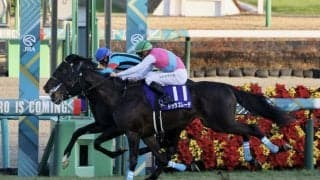 二刀流ドゥラエレーデが引退…種牡馬入りの予定