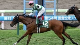 ブトンドールが引退、繁殖入り