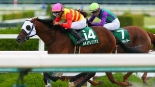 ハギノアレグリアスが引退…ダート重賞で長きにわたり活躍