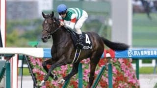 【阪神JF】良血アランカールは2枠4番