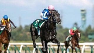 【AI予想・朝日杯FS】2歳王者決定戦は能力と強靭なメンタルが必要不可欠！ 人工知能は前走の内容が秀逸な3頭を高評価