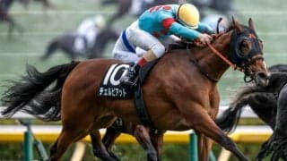 【ターコイズS予想オッズ】チェルビアットが予想1番人気