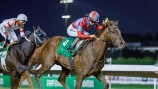 重賞5勝のリメイクが登録抹消 種牡馬入りへ