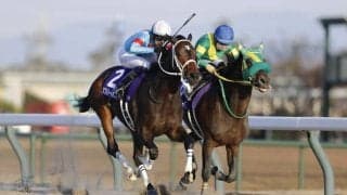 中京競馬記者クラブ賞は坂井瑠星騎手…チャンピオンズカップ3連覇