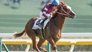 「ウマ娘」の藤田晋オーナーが有馬記念でJRA・GI初制覇なるか これまで挑戦した馬たちは