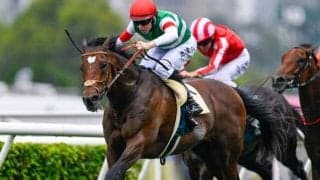 【AI予想・有馬記念】今年の有馬記念は大荒れの予感!? 波乱を示唆する人工知能の本命候補とは