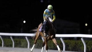 【名古屋大賞典】デルマソトガケは3枠3番へ