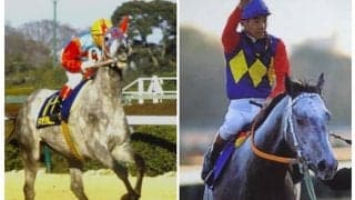 オグリキャップvsタマモクロス 芦毛の両横綱が88年有馬記念でみたび激突