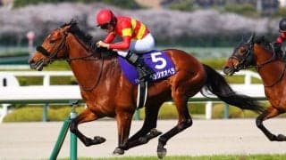 べラジオオペラが登録抹消…社台SSで種牡馬入り
