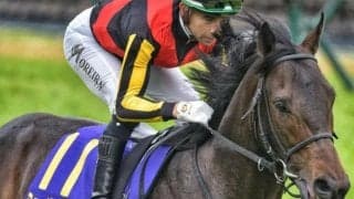 【有馬記念】史上初のミスプロ系Vなるか ミュージアムマイルなど4頭が参戦