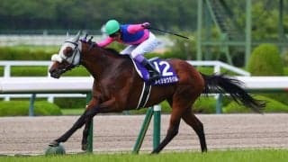 武豊騎手 今週の騎乗馬…日曜は有馬記念に一球入魂