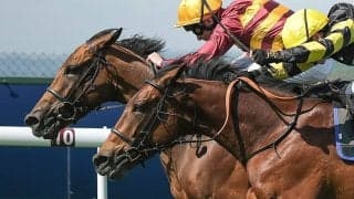 【有馬記念／穴ライズ】近2年の「伏兵扱い→激走」との共通点あり　前日“10人気”前後の盲点に漂う一発の気配