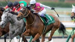 阪神C当日の阪神芝は内＆前有利 ジューンブレアの逃げ切りだ