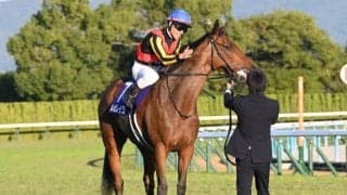 【AI予想・有馬記念】史上初の偉業達成へ準備万端！ 今年の中央競馬も牝馬が大トリを飾る