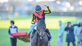【有馬記念】3歳馬ミュージアムマイルが直線一気の差し切り！C.デムーロの鮮やかな手綱さばき