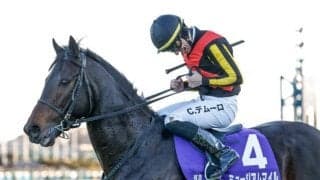 ミュージアムマイルが有馬記念を制覇 「シーザリオの息子×ハーツクライ」は2週連続のGI勝利