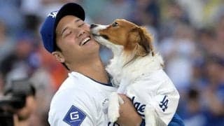 大谷翔平、“デコピン年賀状”で新年の挨拶　「犬小屋前」の住所も…2年連続のSNS更新