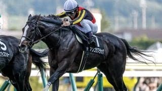 【中山金杯枠順確定】アンゴラブラックは2枠2番、カネラフィーナは3枠3番