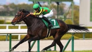 【京都金杯】ランスオブカオスは1枠1番から