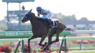 【中山金杯】4連勝中カネラフィーナは3枠3番