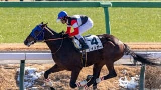 【中山2R】戸崎圭太フィンガーが大差圧勝