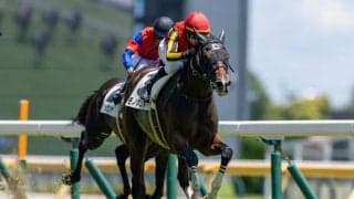 【シンザン記念登録馬】モノポリオなど18頭
