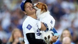 「デコちゃん、元気そう」ドジャース・大谷翔平、最新デコピン動画を公開　“仕草”にも注目「嬉しくてしょうがないよね」