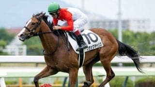 【フェアリーS枠順確定】ブラックチャリスは8枠15番、サンアントワーヌは5枠9番