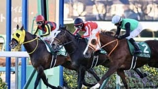 ラーグルフが登録抹消、乗馬へ