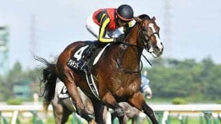 【日経新春杯】ゲルチュタール、ライラックらが登録