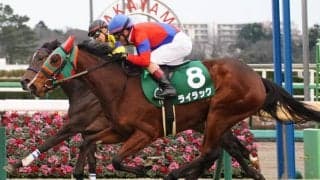 【日経新春杯登録馬】ライラックなど14頭