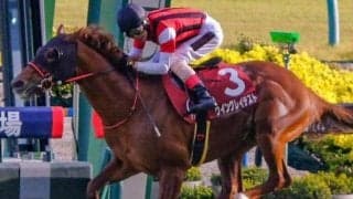 中山芝は先行ベター カーバンクルSはウイングレイテストの押し切りだ
