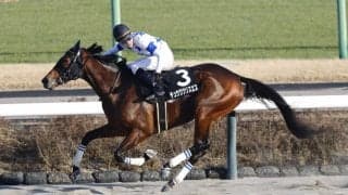 【アレキサンドライトS】得意コースでチュウワクリスエスが完勝、オープン入り