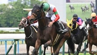 【小倉牝馬S】ココナッツブラウン、ジョスランらが登録