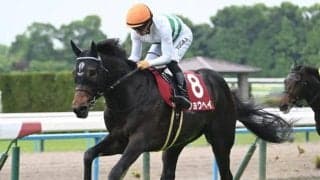 【AJCC予想オッズ】ショウヘイが予想1番人気