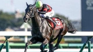 【小倉牝馬S予想】開幕週に行われるハンデ重賞 データが少ない難解な一戦