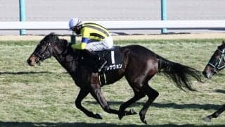 【若竹賞】インディチャンプ産駒 ブレナヴォンが2勝目
