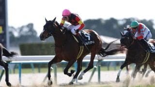 【河津桜賞】ソルパッサーレが2連勝…ジョバンニ半妹のキズナ産駒